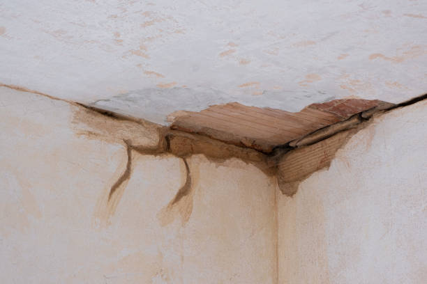 Best Sewage cleanup and water damage restoration  in Parker, CO