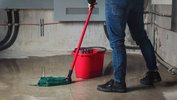 Best 24/7 water damage repair  in Parker, CO